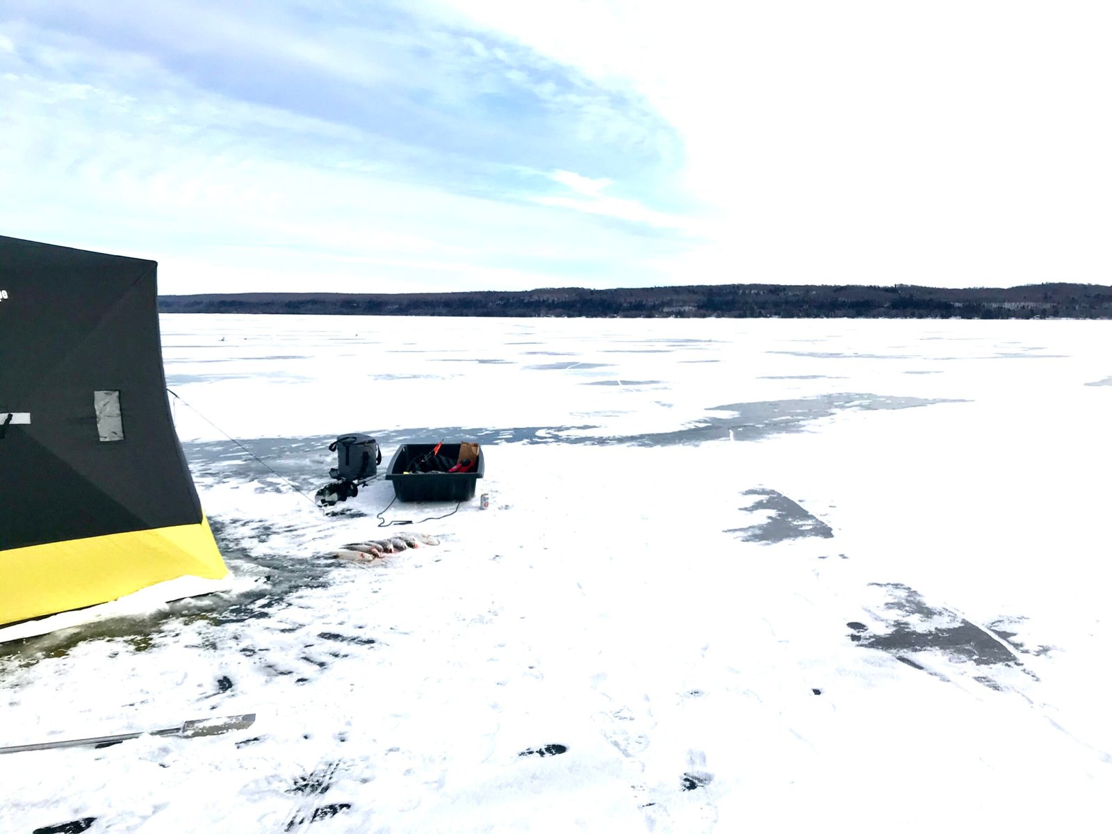 63372527534 BB7C4560 62F4 4906 93AC 1C2E5FCB9460 Scaled